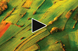 Video sporočila in filmi - Aero-video snemanje