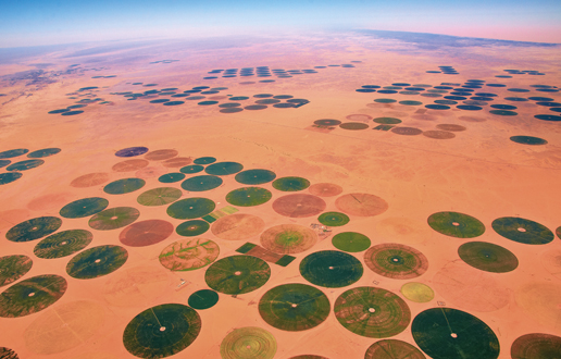 Kmetijstvo v puščavi v bližini mesta Sabha v Libiji